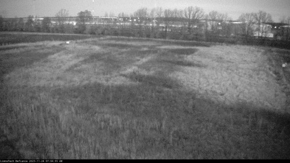 Cell 3_23-11-24_07-04-55-78