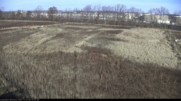 Cell 3_23-11-24_09-18-53-80