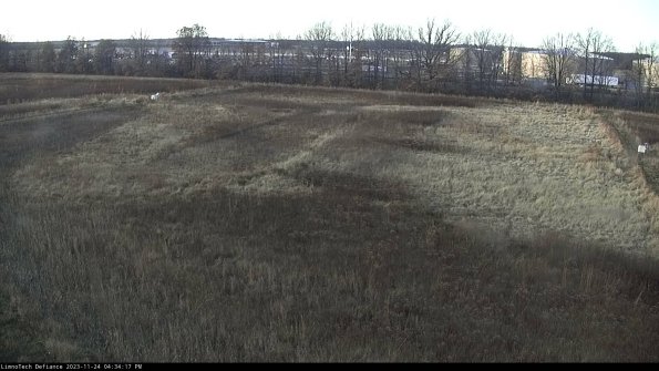 Cell 3_23-11-24_16-34-17-93