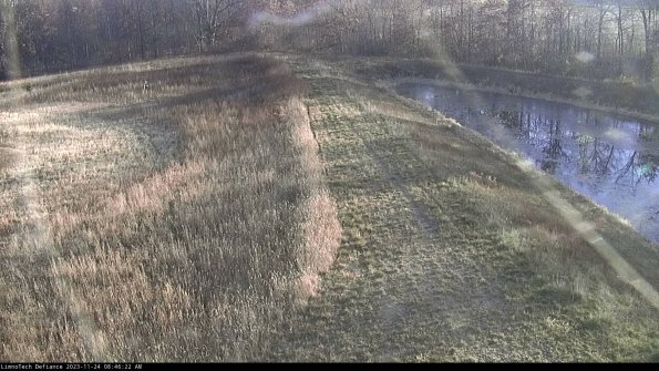 Cell 4 to Basin_23-11-24_08-46-22-81