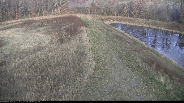 Cell 4 to Basin_23-11-24_16-35-15-79