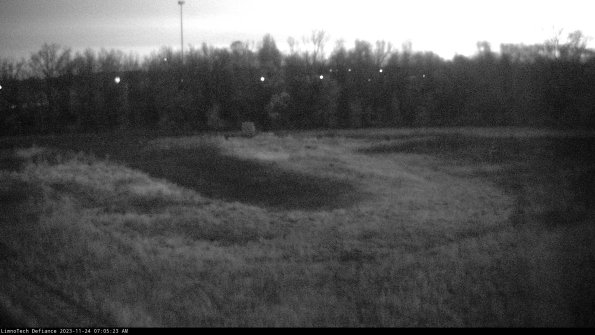 Cell 4_23-11-24_07-05-23-78