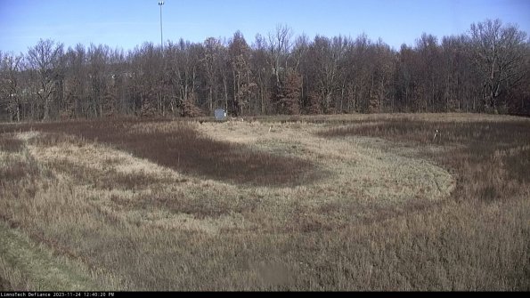 Cell 4_23-11-24_12-40-20-78