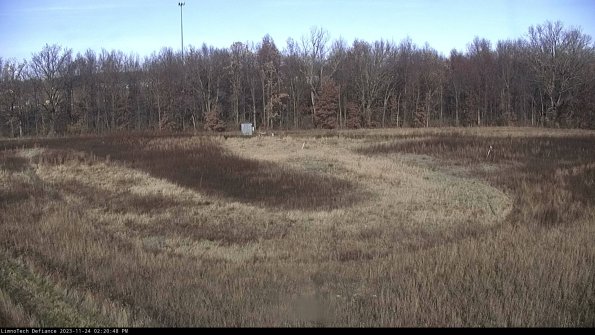 Cell 4_23-11-24_14-20-48-80