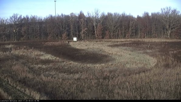 Cell 4_23-11-24_16-01-16-78