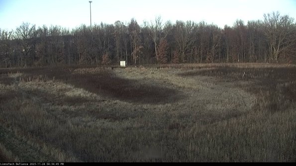 Cell 4_23-11-24_16-34-45-79