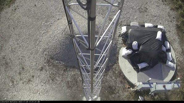 Hatch_23-11-24_11-01-31-77