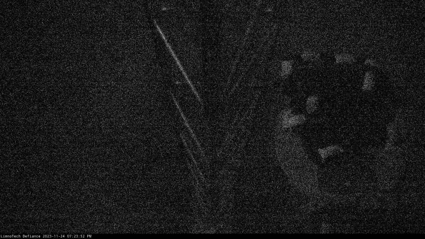 Hatch_23-11-24_19-23-52-79