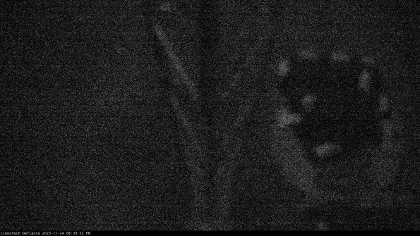 Hatch_23-11-24_20-30-52-78