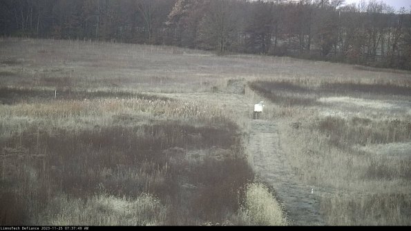 Cell 1 to 2_23-11-25_07-37-49-78