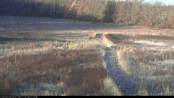 Cell 1 to 2_23-11-25_08-11-18-79