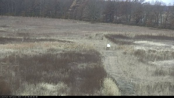 Cell 1 to 2_23-11-25_08-44-46-77