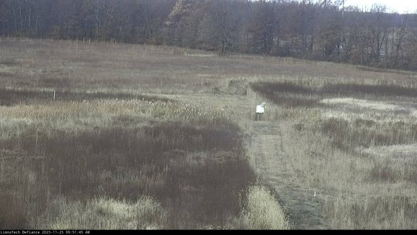 Cell 1 to 2_23-11-25_09-51-45-80