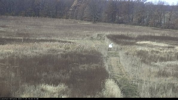 Cell 1 to 2_23-11-25_10-25-15-78