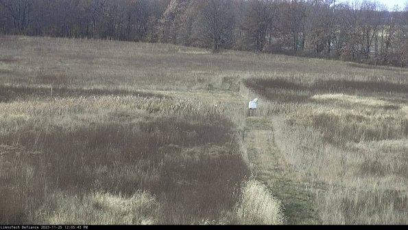 Cell 1 to 2_23-11-25_12-05-43-79