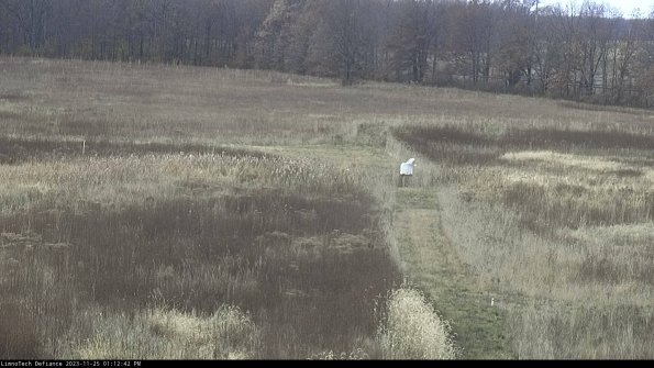 Cell 1 to 2_23-11-25_13-12-42-79