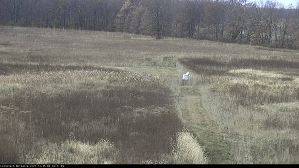 Cell 1 to 2_23-11-25_13-46-11-77