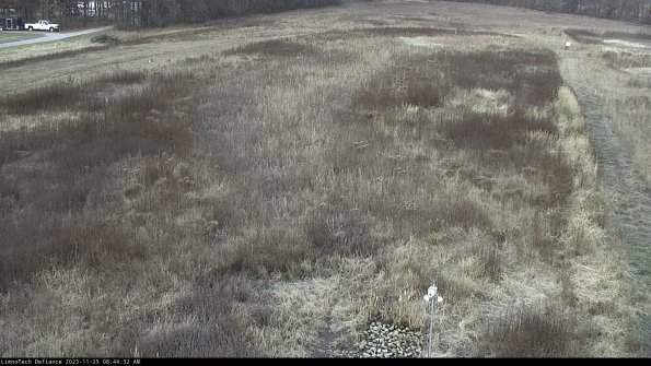 Cell 1_23-11-25_08-44-32-79