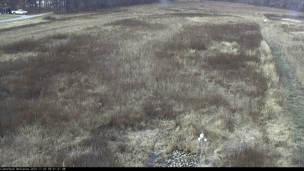 Cell 1_23-11-25_09-51-31-78