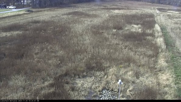 Cell 1_23-11-25_10-25-01-76