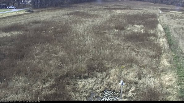 Cell 1_23-11-25_12-05-29-78