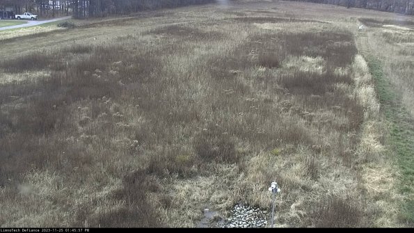 Cell 1_23-11-25_13-45-57-75