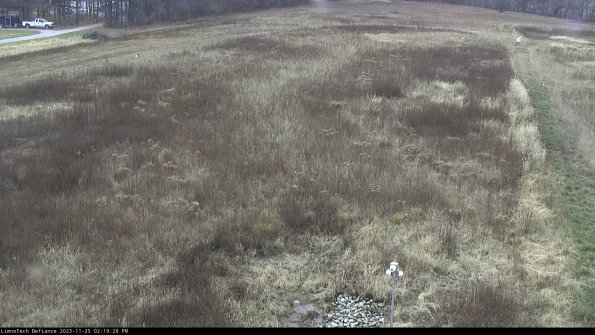 Cell 1_23-11-25_14-19-28-77