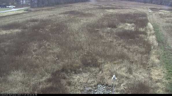 Cell 1_23-11-25_15-26-26-77