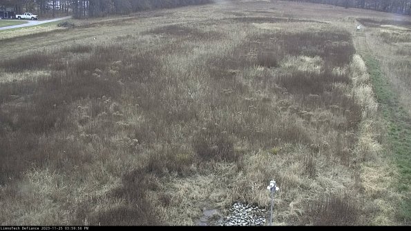 Cell 1_23-11-25_15-59-56-78