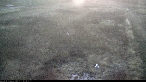 Cell 1_23-11-25_17-40-27-79