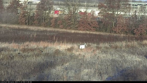 Cell 2 to 3_23-11-25_08-11-44-85