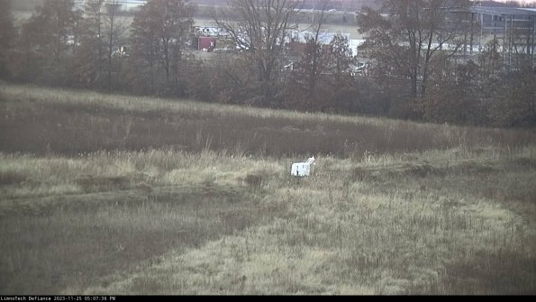 Cell 2 to 3_23-11-25_17-07-36-92