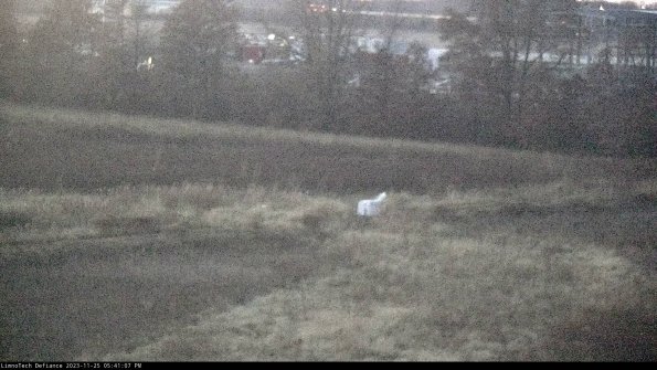 Cell 2 to 3_23-11-25_17-41-07-80