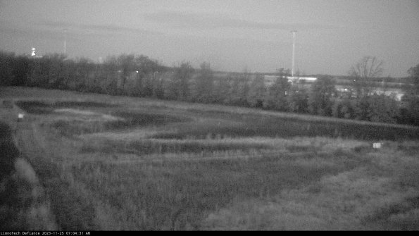 Cell 2_23-11-25_07-04-31-85