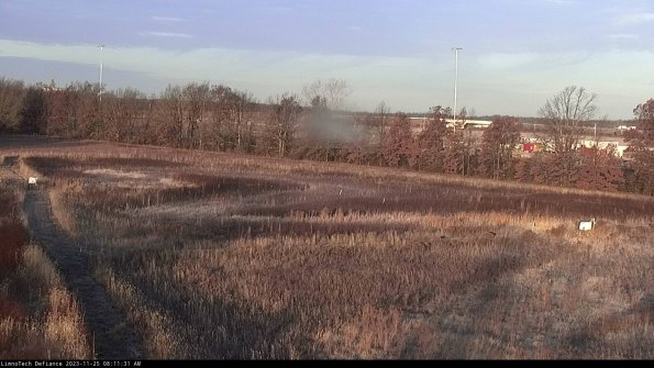 Cell 2_23-11-25_08-11-31-81