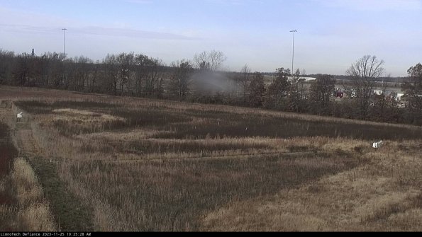 Cell 2_23-11-25_10-25-28-79