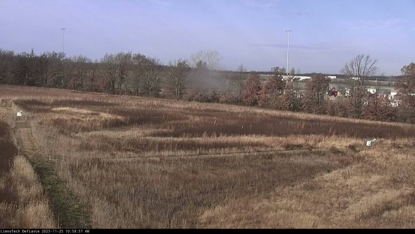 Cell 2_23-11-25_10-58-57-84