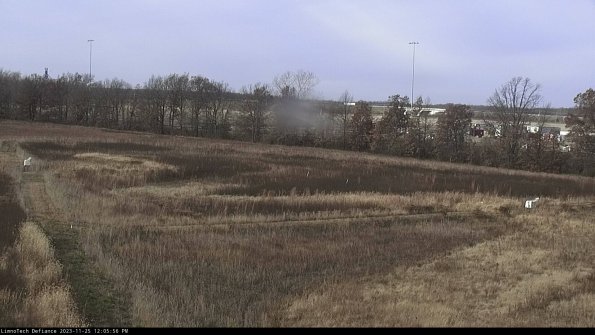 Cell 2_23-11-25_12-05-56-87