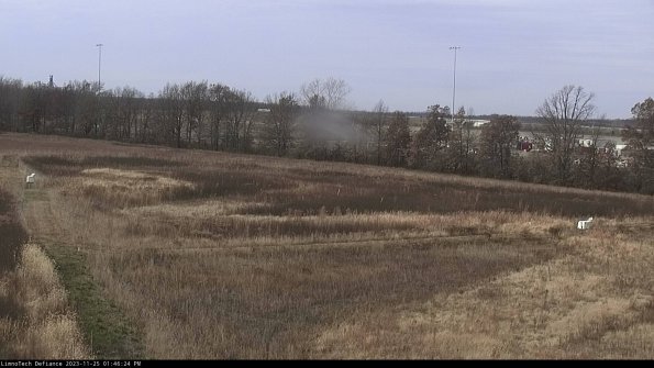 Cell 2_23-11-25_13-46-24-82