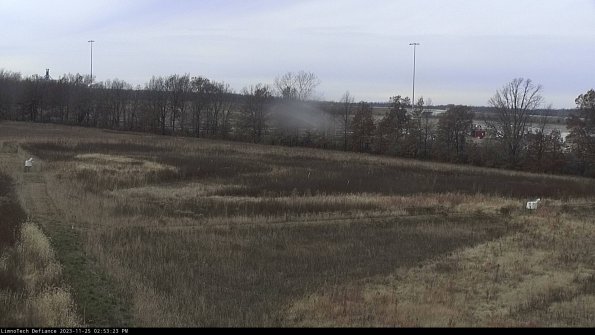 Cell 2_23-11-25_14-53-23-78