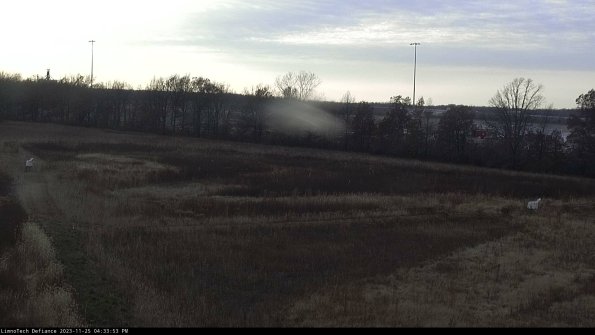 Cell 2_23-11-25_16-33-53-79