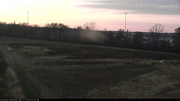 Cell 2_23-11-25_17-07-23-80