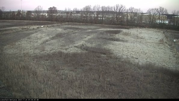 Cell 3_23-11-25_07-38-30-79