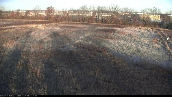 Cell 3_23-11-25_08-11-59-03