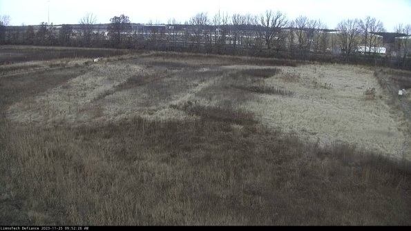 Cell 3_23-11-25_09-52-26-77