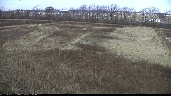 Cell 3_23-11-25_10-25-56-79