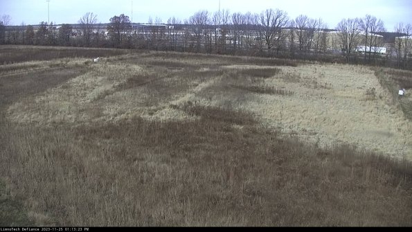 Cell 3_23-11-25_13-13-23-76