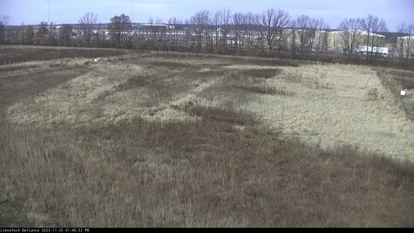 Cell 3_23-11-25_13-46-52-78