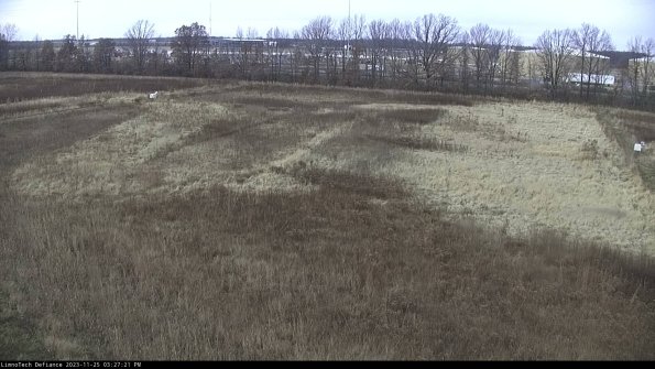 Cell 3_23-11-25_15-27-21-79