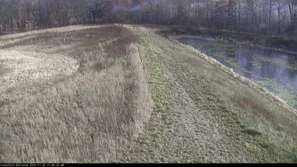 Cell 4 to Basin_23-11-25_11-00-23-79